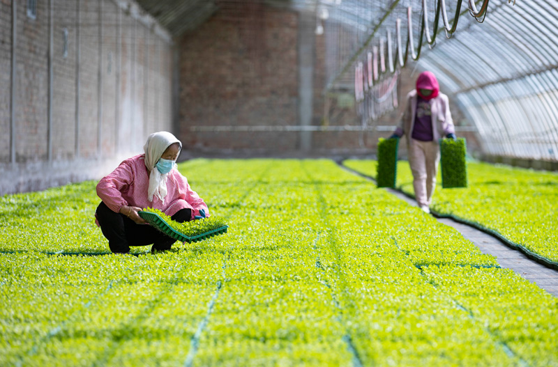 固原市原州区水务局