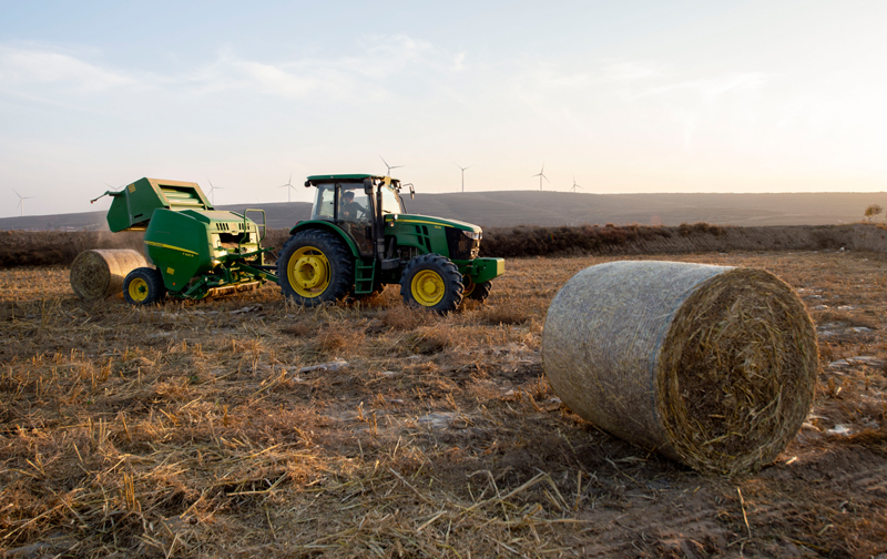 攻克西红柿膨果期施肥方案精准化施肥难题